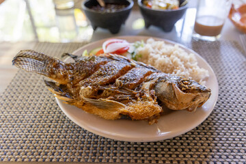 Grilled River Fish and Rice