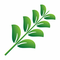 green leaf isolated on white background