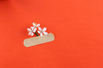 cherry blossom and adhesive plaster