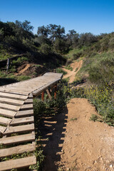 A Back Woods Hiking and Biking Trail in the California Hills with Jumps Built by Local Kids 