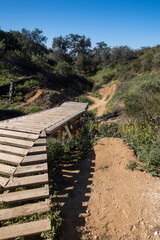 Fototapeta na wymiar A Back Woods Hiking and Biking Trail in the California Hills with Jumps Built by Local Kids 