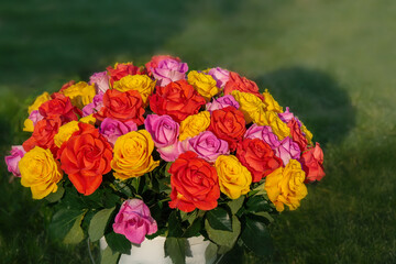 Bouquet of flowers - a composition of multi-colored roses. Background for the postcard.