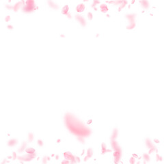 Obraz na płótnie Canvas Sakura petals falling down. Romantic pink flowers borders. Flying petals on white square background. Love, romance concept. Outstanding wedding invitation.