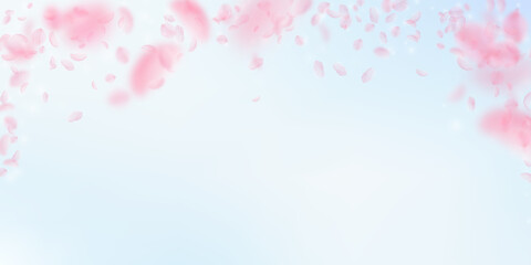 Sakura petals falling down. Romantic pink flowers falling rain. Flying petals on blue sky wide background. Love, romance concept. Impressive wedding invitation.