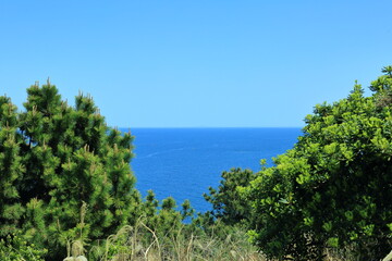 Obraz premium 맑은 날씨속 시원한 바다