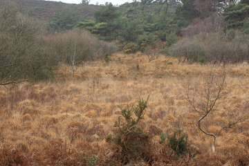 Freezing and muddy winter landscapes in England