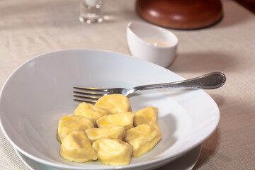 Traditional pelmeni, ravioli, dumplings filled with meat on plate, russian kitchen