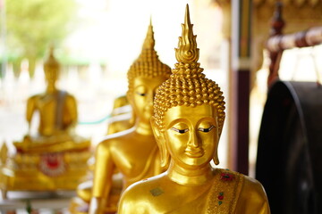 golden buddha Many of them are arranged in a row.