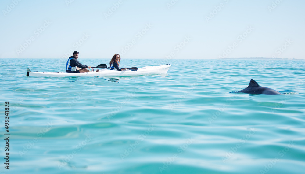 Poster They spotted something in the deep blue water. Shot of a young couple spotting a dolphin while kayaking at a lake.