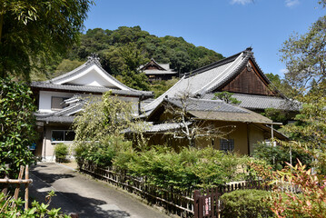長谷寺　伽藍　奈良県桜井市初瀬