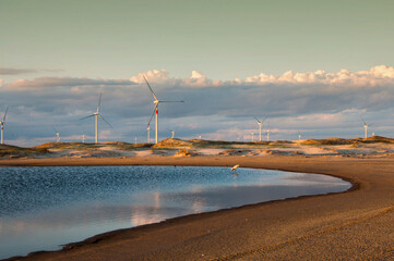 wind turbines in the dunes with a lake and birds in front in the praia do cassino , brazil 