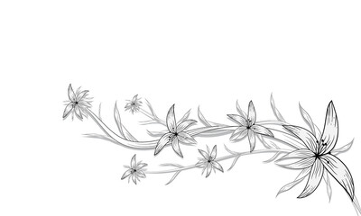 Botany set coloring Page black and white with line art on white backgrounds.

