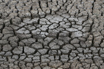 dry and cracked soil cracked soil
