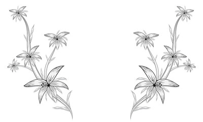 Fototapeta na wymiar Sketch floral botany set hand-drawn floral elements.