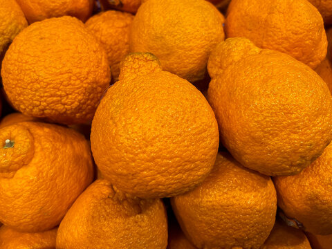 Sumo mandarins on the shelf for sale in a supermarket. Sumo or Dekopon is a seedless and sweet variety of satsuma orange.