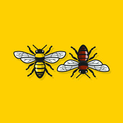 Illustration of bee in cartoon vector
