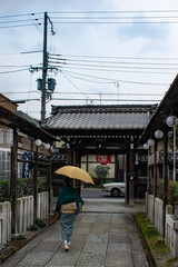 Fototapeta na wymiar townscape in kyoto, japan