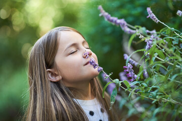 Enjoying the soothing scent of lavender. Cropped shot of a little girl smelling a lavender plant...
