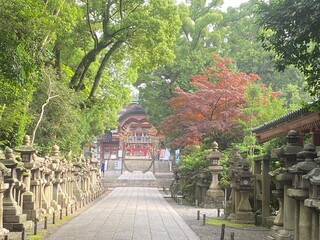 Fototapeta premium 石清水八幡