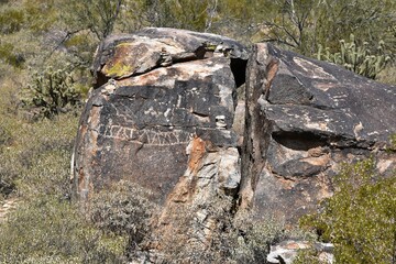 Ancient petroglyphs carved onto a rock