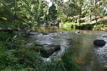 Naklejka na ściany i meble the Yarra River in Warburton in the Upper Yarra Valley Victoria-1
