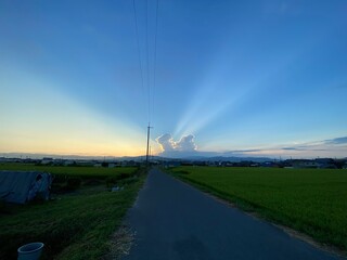 Fototapeta premium 夜明け