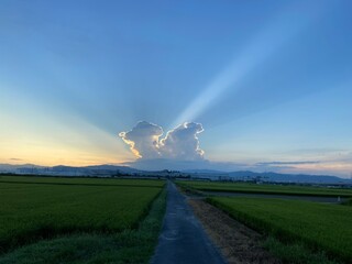 夜明け