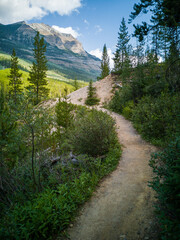 Fototapeta na wymiar Hiking in Kootenay National Park, Canada