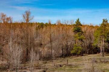 Samarskaya Luka on a sunny April day!