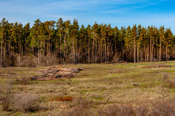 Samarskaya Luka on a sunny April day!