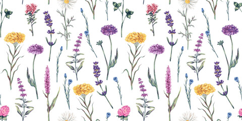 Watercolor hand drawn seamless pattern with illustration of wild flowers. Floral elements clover, lavender, herbs isolated on white background. Beautiful meadow flowers collection