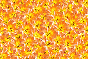 colored pineapples stacked on top of each other as a background