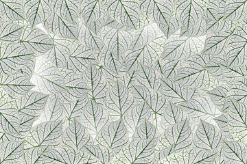 gray leaves stacked in the background.