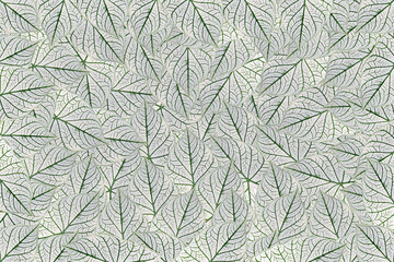 gray leaves stacked in the background.