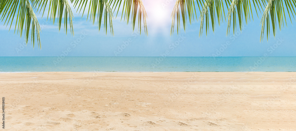 Wall mural summer beach, sand, palm concept. green leaves of palm coconut trees against blue sky and beautiful 