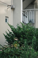 1950年代建築の団地(解体済み)　Housing complex in the 1950s during Japan's high economic growth (dismantled)