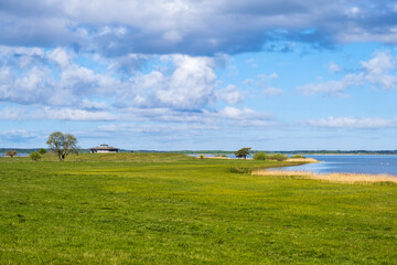 Meadow by lake Hornborgasjon and a bird watching tower
