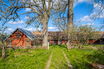Garden path to a barn on a farm