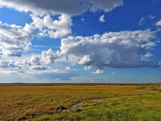 Obraz premium Stunning thick clouds over the tundra field water sun warmth tenderness