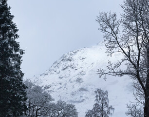 Beautiful dramatic landscape image of snow covered Scottish mountain in Winter viewed through treetopd in forest