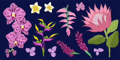 Tropical flowers collection, hand drawn vector art