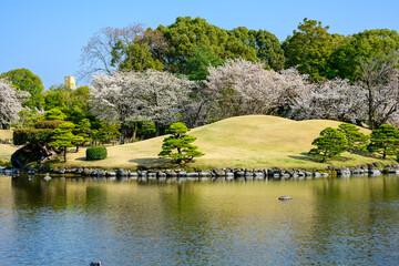 日本庭園「桜咲く観光名所風景」水前寺成趣園
Japanese garden 