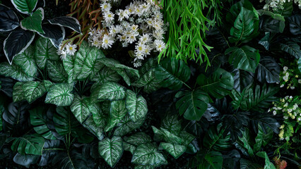 Creative nature pattern background, tropical leaf banner or floral jungle pattern concept.
