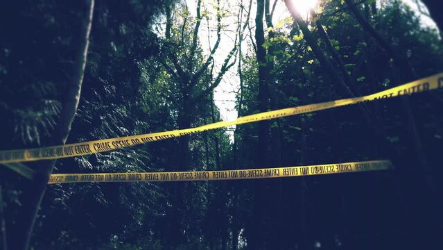 Crime scene in the woods filmed by a drone. Missing person's bag. Dead body found in the woods and evidences