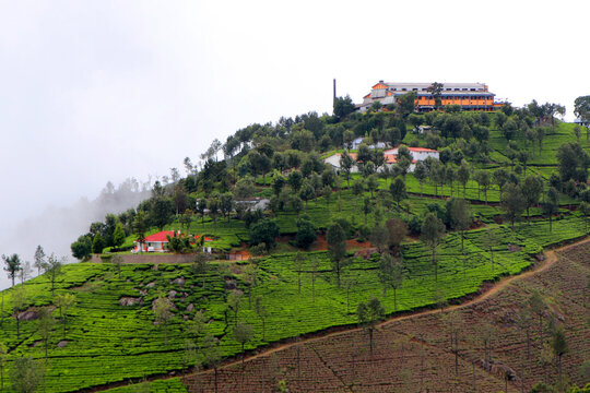 Tea factory in the top of mountain Coonor

