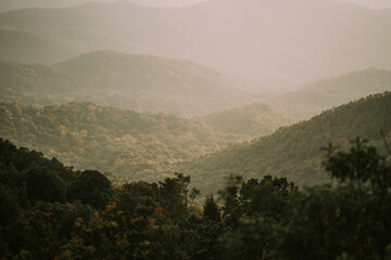 Dawn at Doi Inthanon National Park Thailand