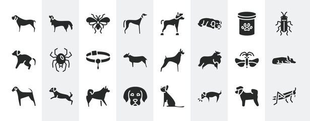 insects filled icons set. editable glyph icons such as mastiff, saluki, pet food, spider black widow, boxer, sad dog, malamute, dog smelling dog vector.