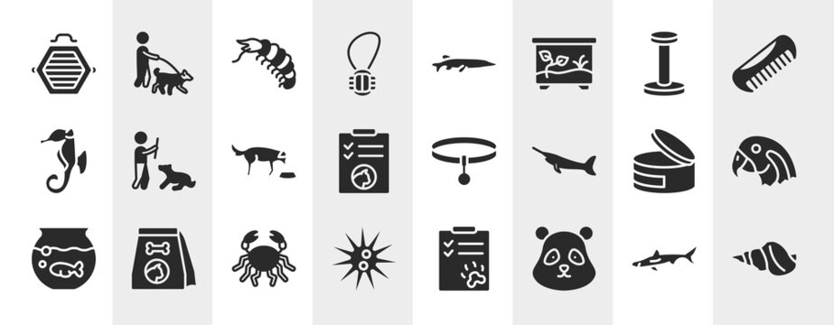 minimal animals filled icons set. editable glyph icons such as cat box, rope toy, scratching platform, man dog and stick, collar, parrot head, big crab, panda bear head vector.