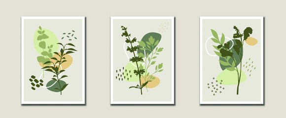 Minimalist abstract flowers and leaves line art, Botanical art vector for print, cover, wallpaper, decoration, Mid century modern wall art