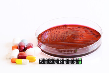 Concept of antibiotic resistance, bacteria, rational use of antibiotics
